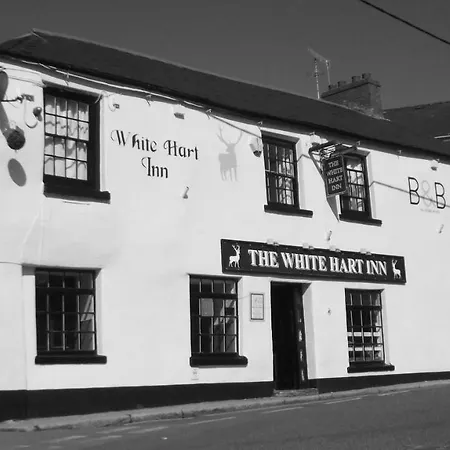 Frühstückspension White Hart Bodmin