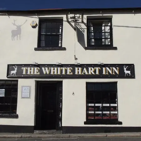 White Hart